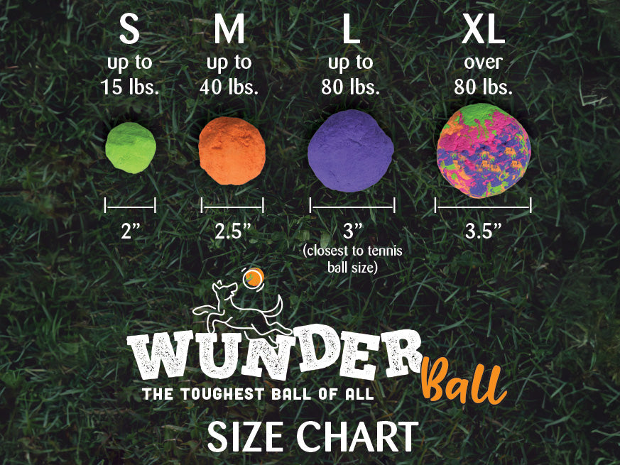 WUNDERball Fetch Toy