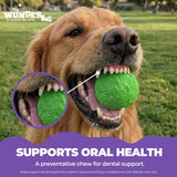 WUNDERball Fetch Toy