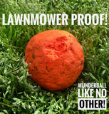 WUNDERball Fetch Toy