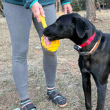 SodaPup eStick Interactive Lick Stick