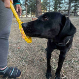 SodaPup eStick Interactive Lick Stick