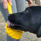 SodaPup eStick Interactive Lick Stick