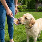 SodaPup eStick Interactive Lick Stick