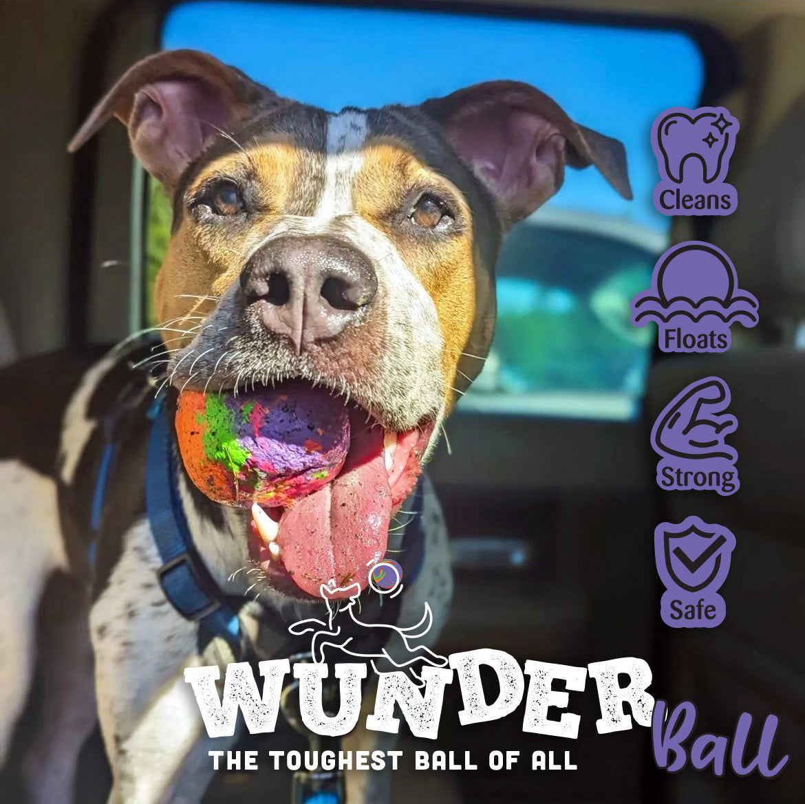 WUNDERball Fetch Toy