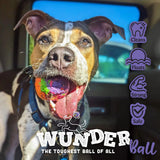 WUNDERball Fetch Toy