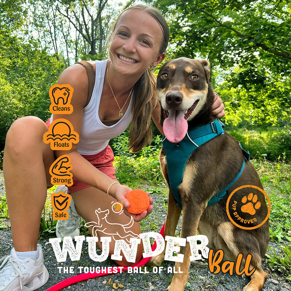 WUNDERball Fetch Toy