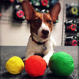WUNDERball Fetch Toy