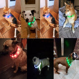 LED Dog Collar